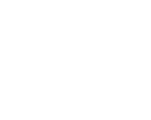 Flax – Betting, odds, bonus & recension